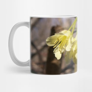 Yellow flowers Mug